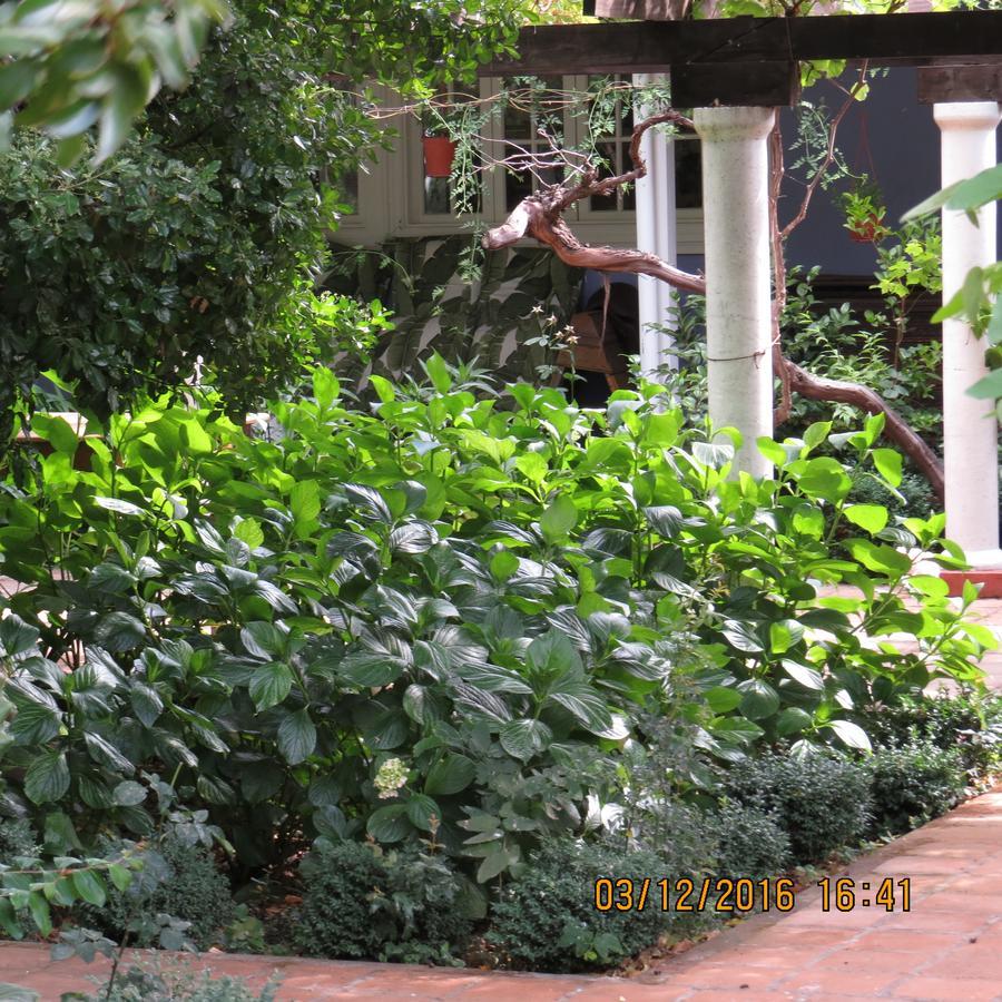 Hotel Boutique Quinta Maria Santa Cruz Exterior foto