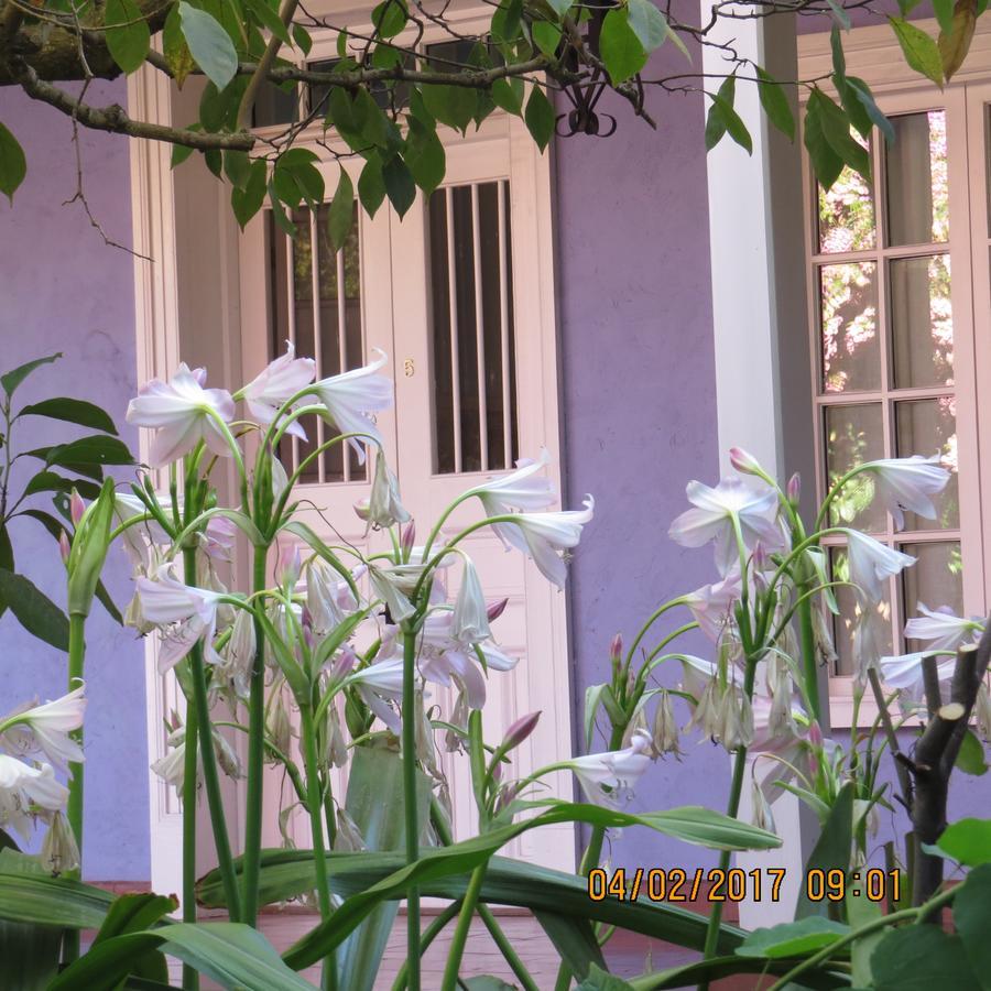 Hotel Boutique Quinta Maria Santa Cruz Exterior foto